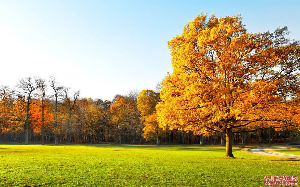 描写秋天景色优美句子有哪些?