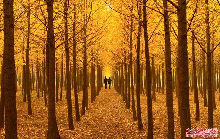 描写秋天景色优美句子有哪些?