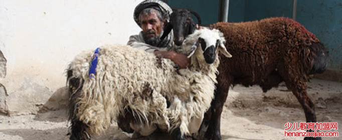 阿富汗有什么资源？