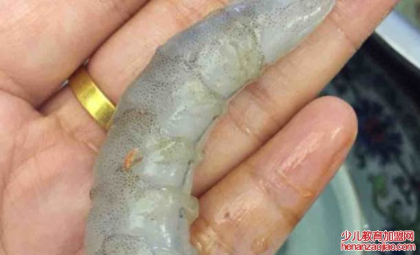 小孩吃的基围虾怎么做？