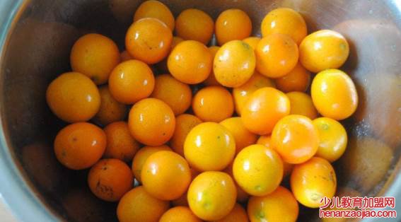 金桔冰糖怎么做？