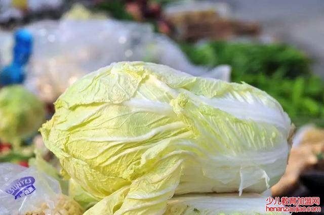 白菜种植时间和方法是什么？