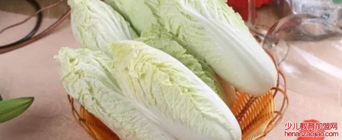 白菜种植时间和方法是什么？