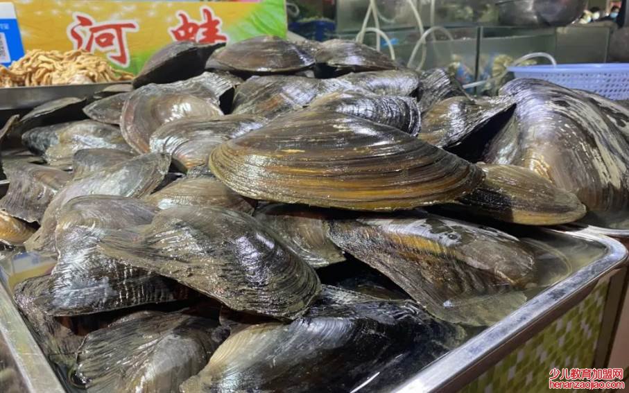 河蚌怎么做好吃？