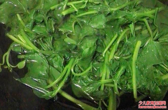 红薯叶子怎么做好吃？