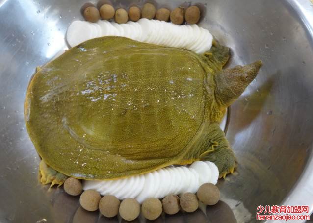 甲鱼汤怎么做好喝又营养?