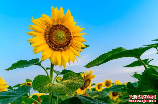 正能量语录有哪些？