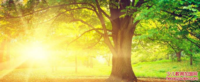 正能量语录有哪些？