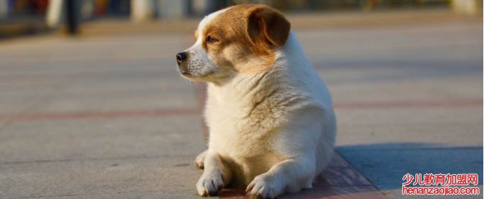 修勾是什么意思？