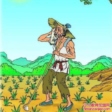 悯农其一中的悯是什么意思？