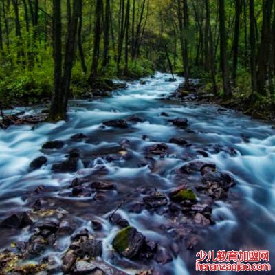 问渠那得清如许中的如是什么意思？