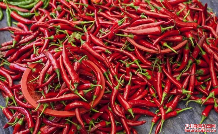 辣椒怎样分辨正宗酸辣？