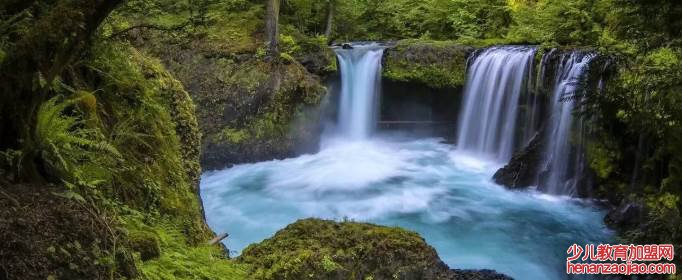 《观书有感》运用了怎样的表现手法?