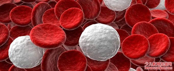 dys是什么意思？