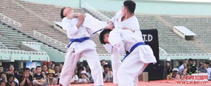 空手道和跆拳道的区别是什么？