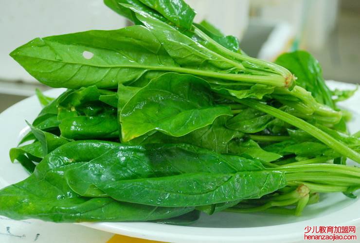 含有维生素a有哪些食物?