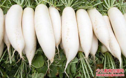 白皮萝卜和红皮萝卜的区别是什么?