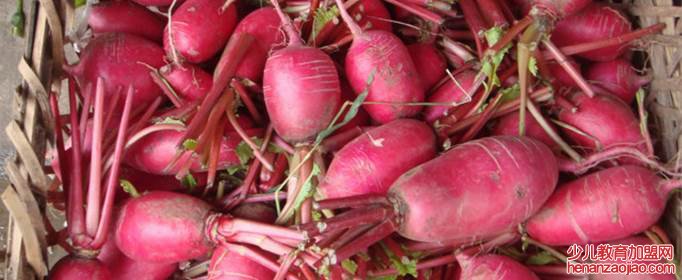 白皮萝卜和红皮萝卜的区别是什么?