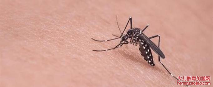 蚊子叮人有偏爱的血型吗？