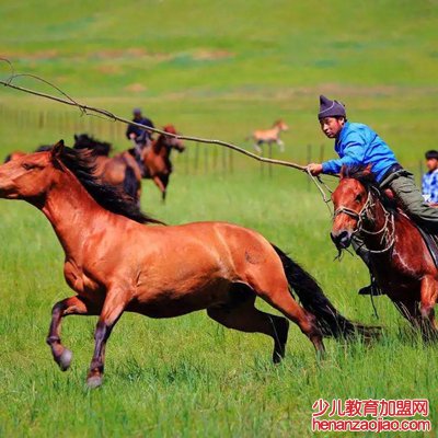 呼伦贝尔大草原在内蒙哪个城市?