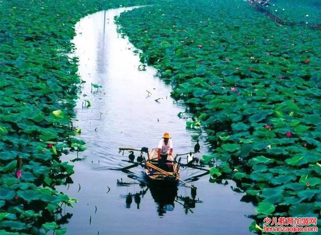 白洋淀一日游旅游攻略有哪些？