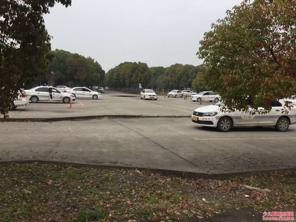 c1是自动挡还是手动挡？