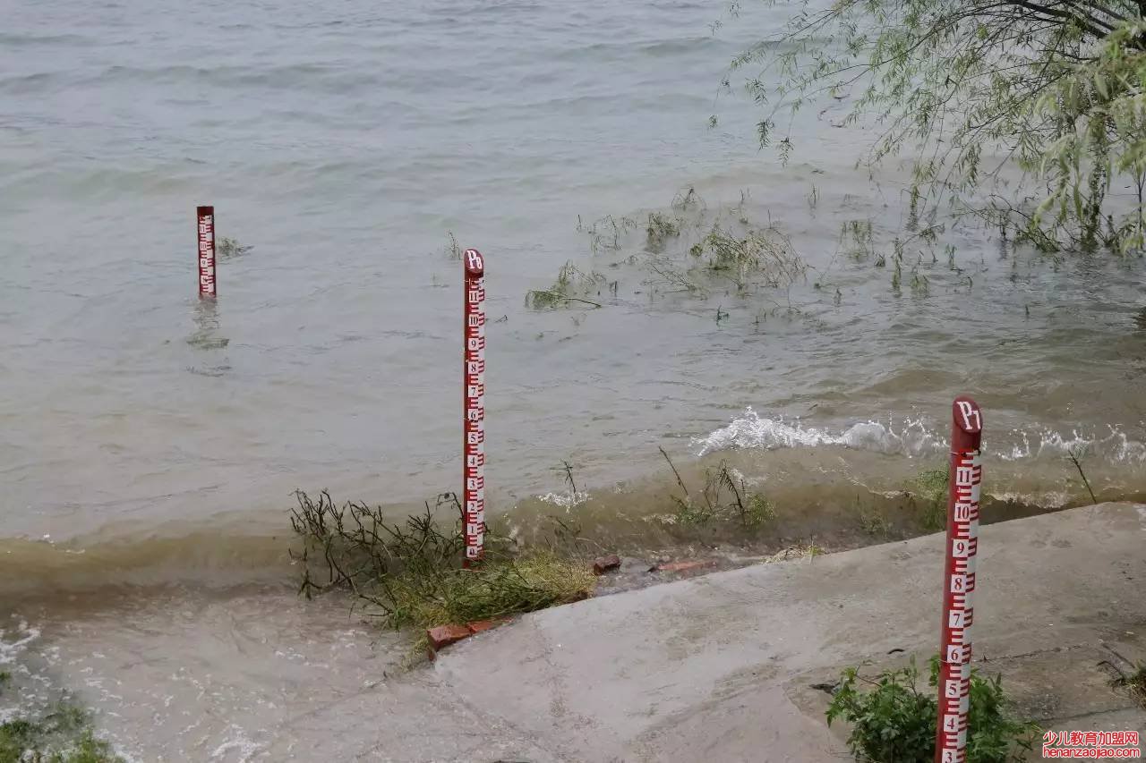 降雨量50毫米是什么意思？